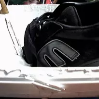Etnies submerged